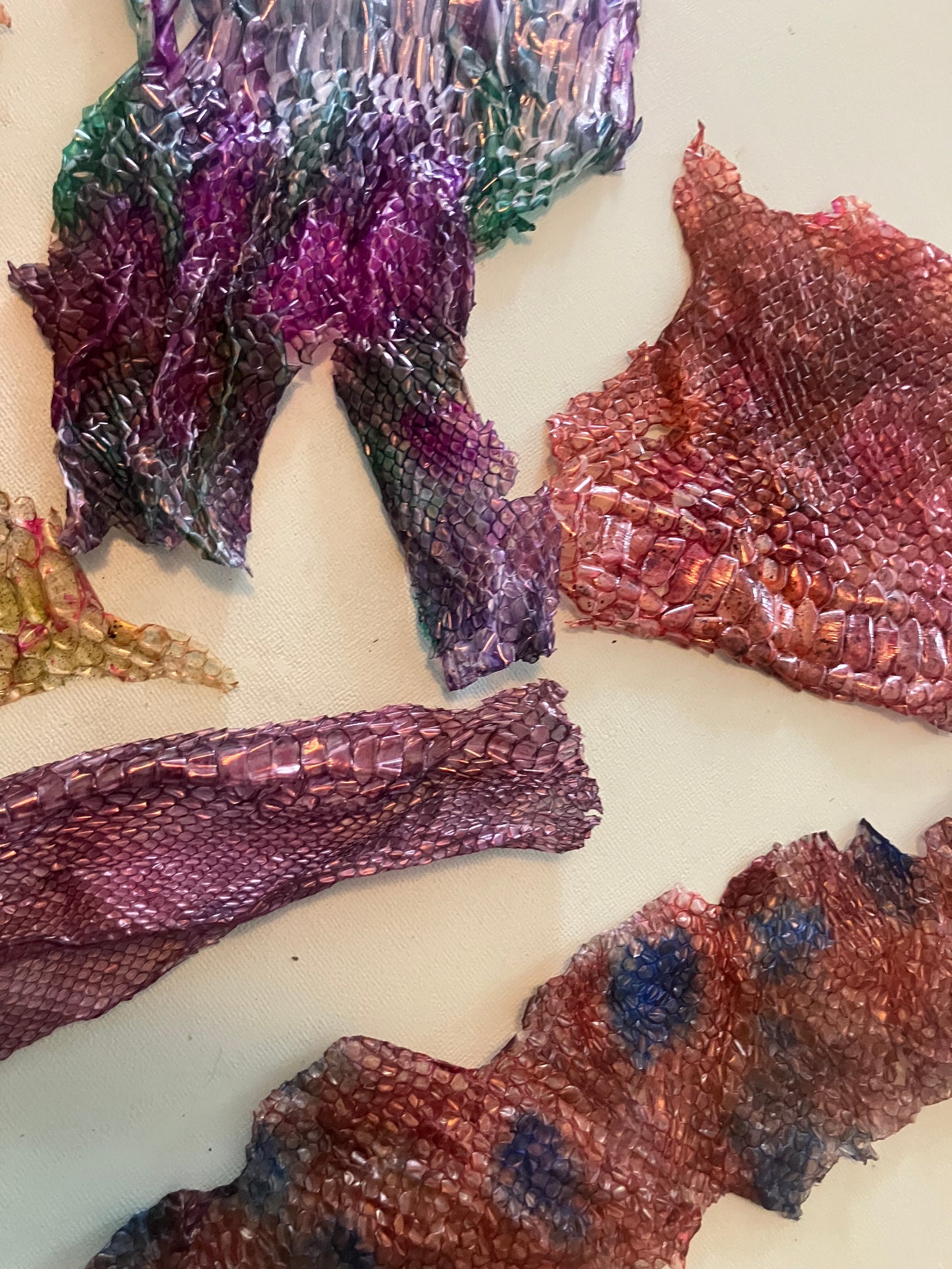 Dyed Snake Shed Pieces — Multi-Pack