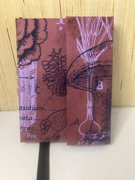 Purple Botanical Journal