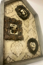 Shadow box houses with small framed bones