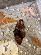 Wood and resin trinket dish