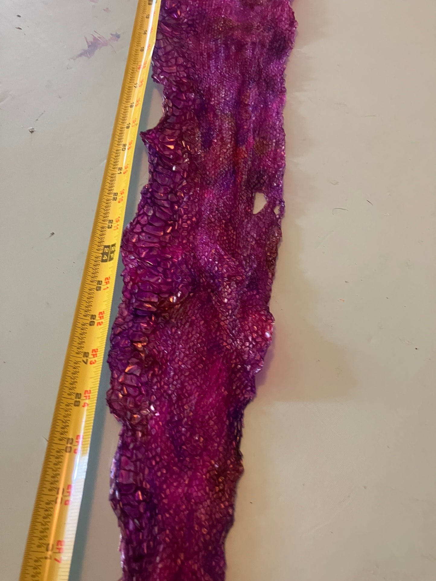 Dyed Snake Shed Pieces
