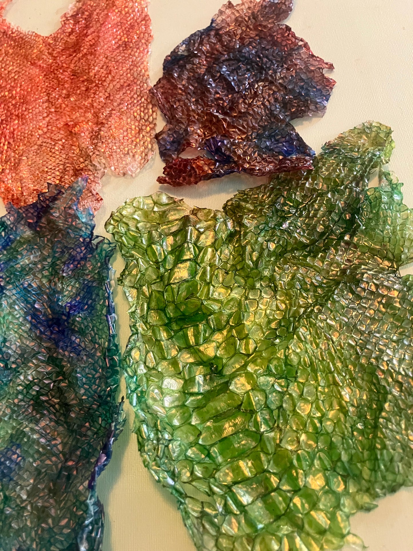 Dyed Snake Shed Pieces — Multi-Pack