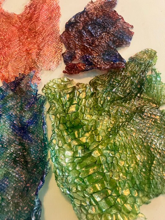 Dyed Snake Shed Pieces — Multi-Pack