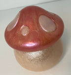 Mushroom trinket box