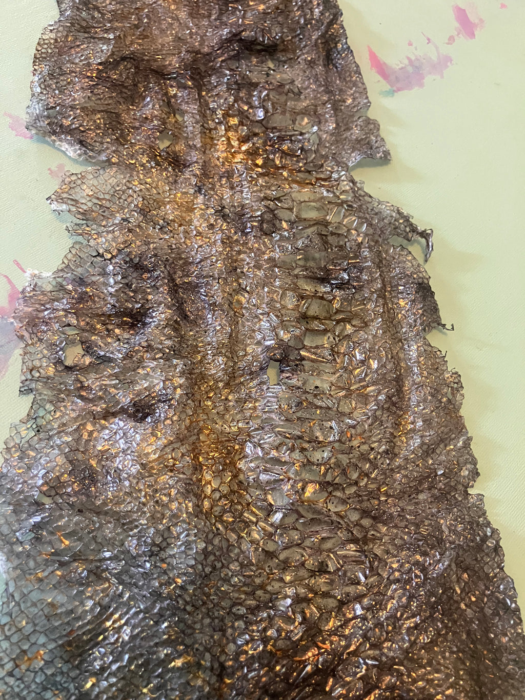 Single dyed snake shed pieces