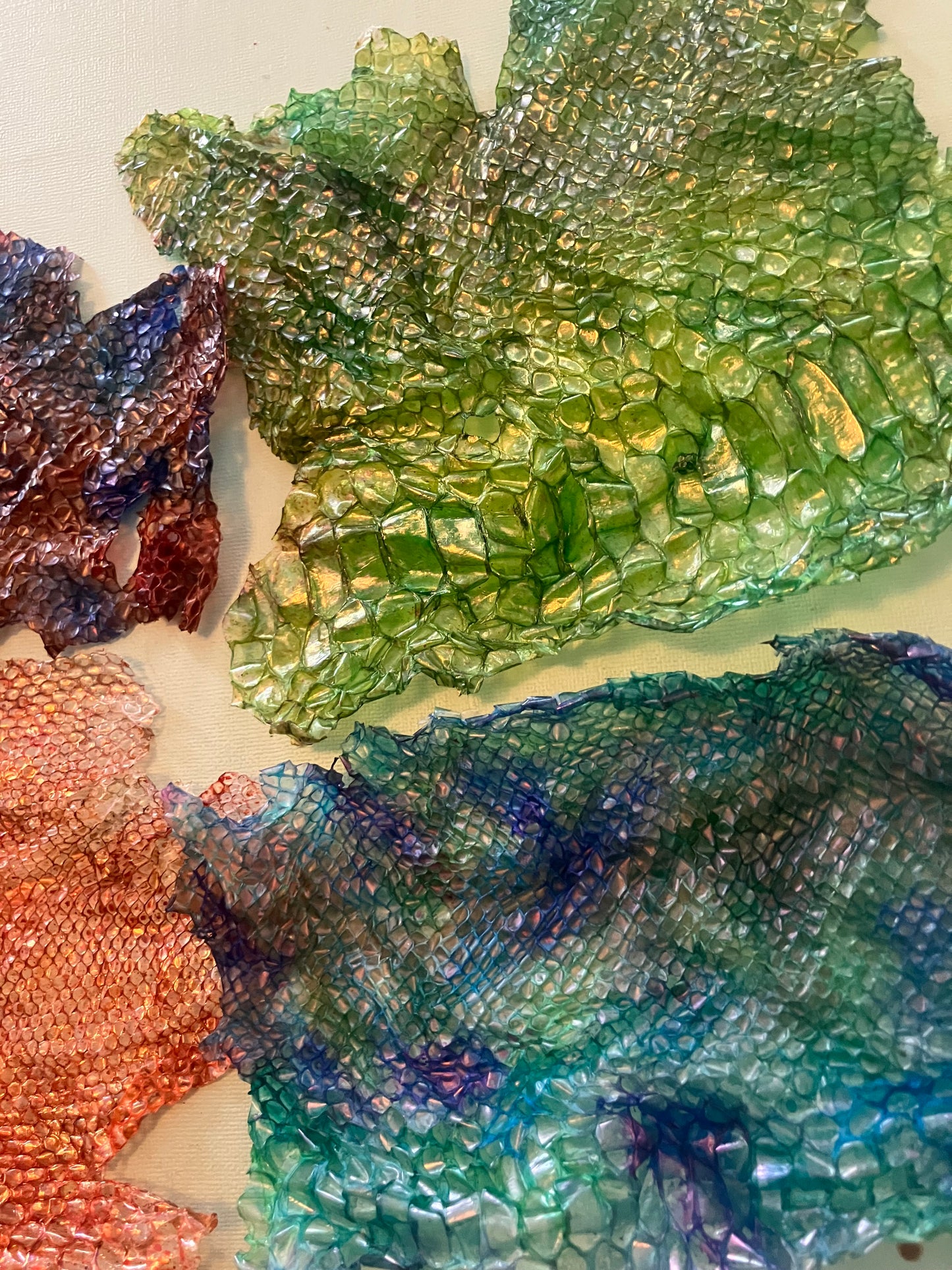 Dyed Snake Shed Pieces — Multi-Pack
