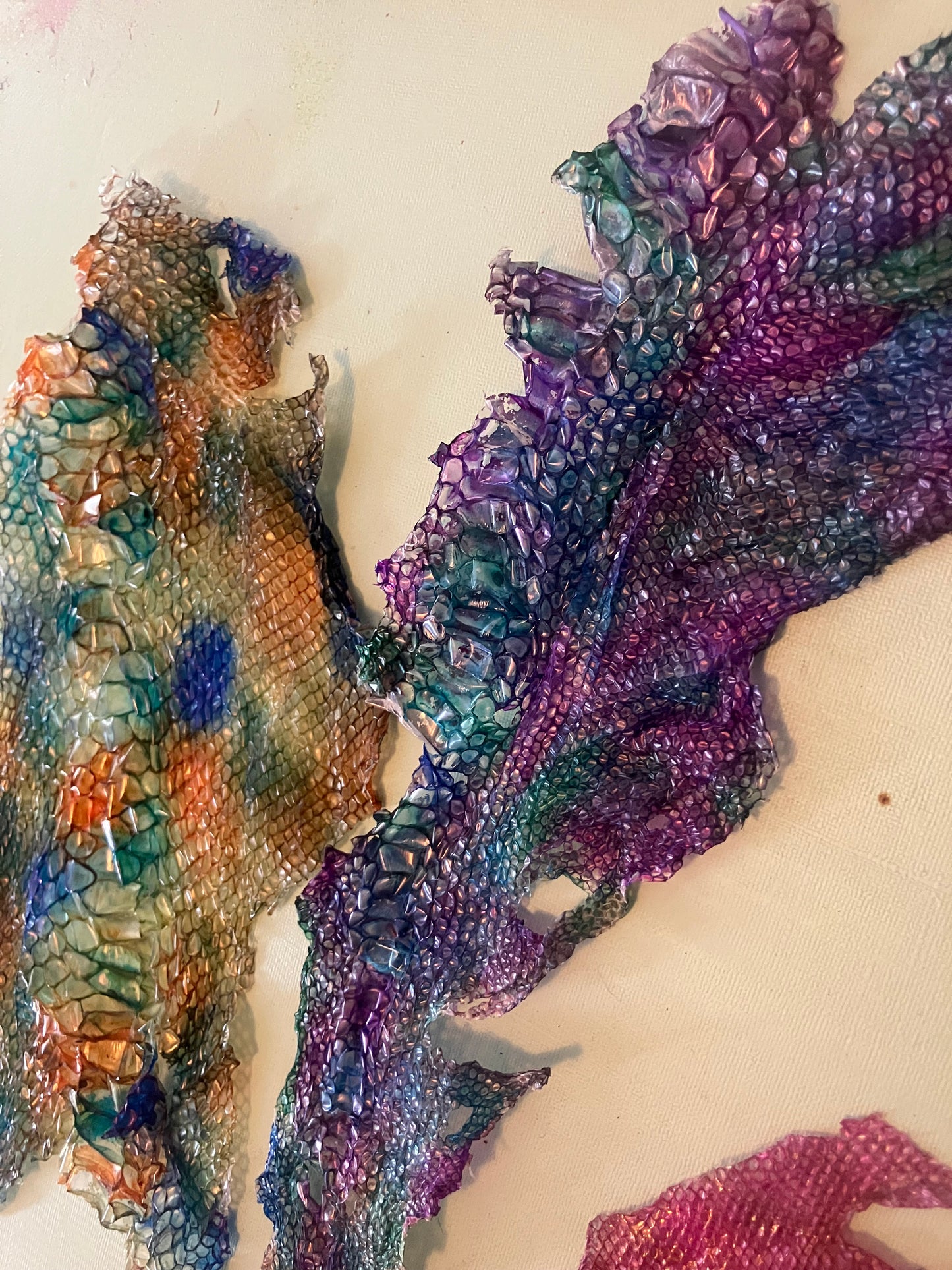 Dyed Snake Shed Pieces — Multi-Pack
