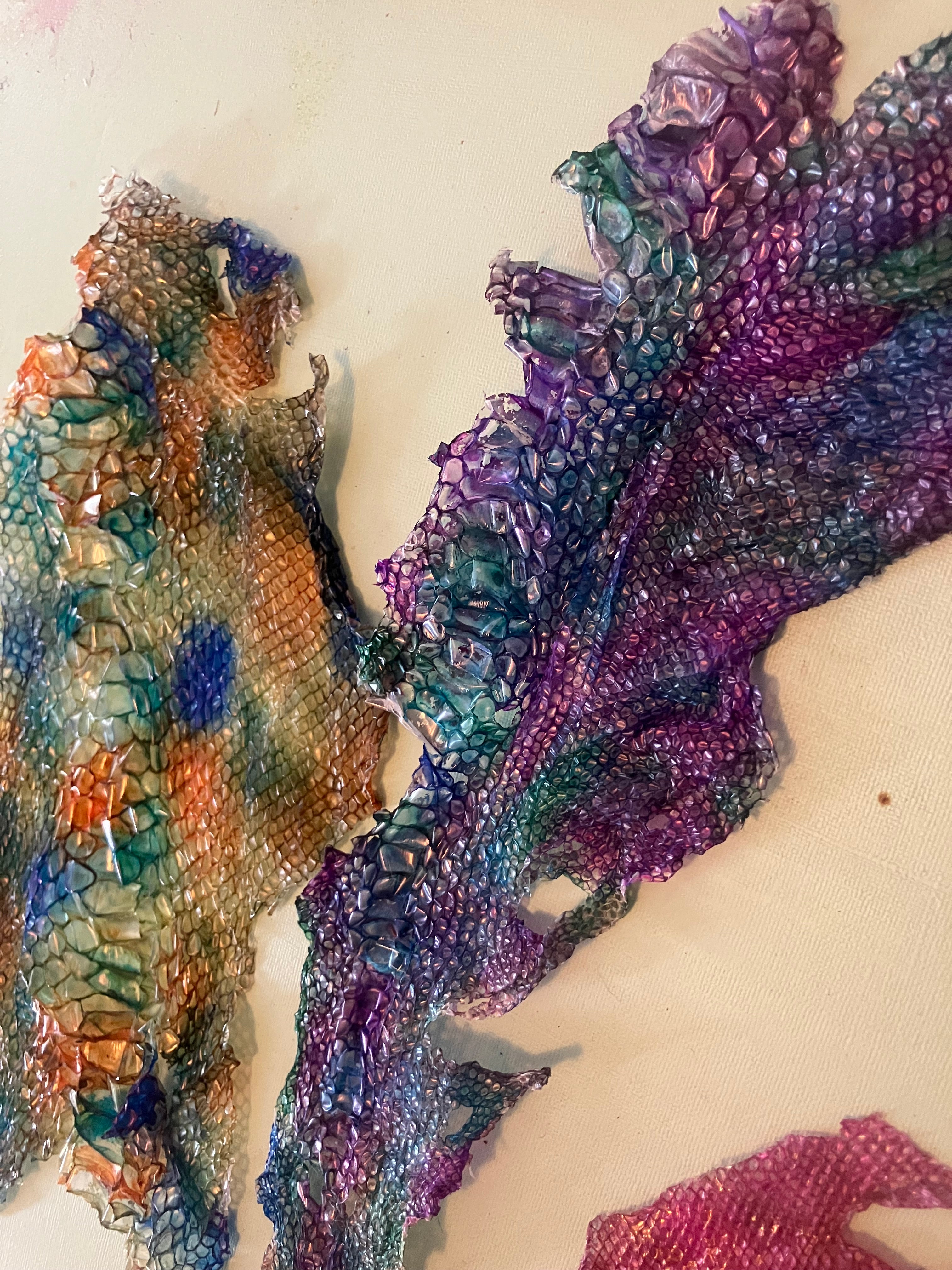 Multi pack dyed snake shed pieces