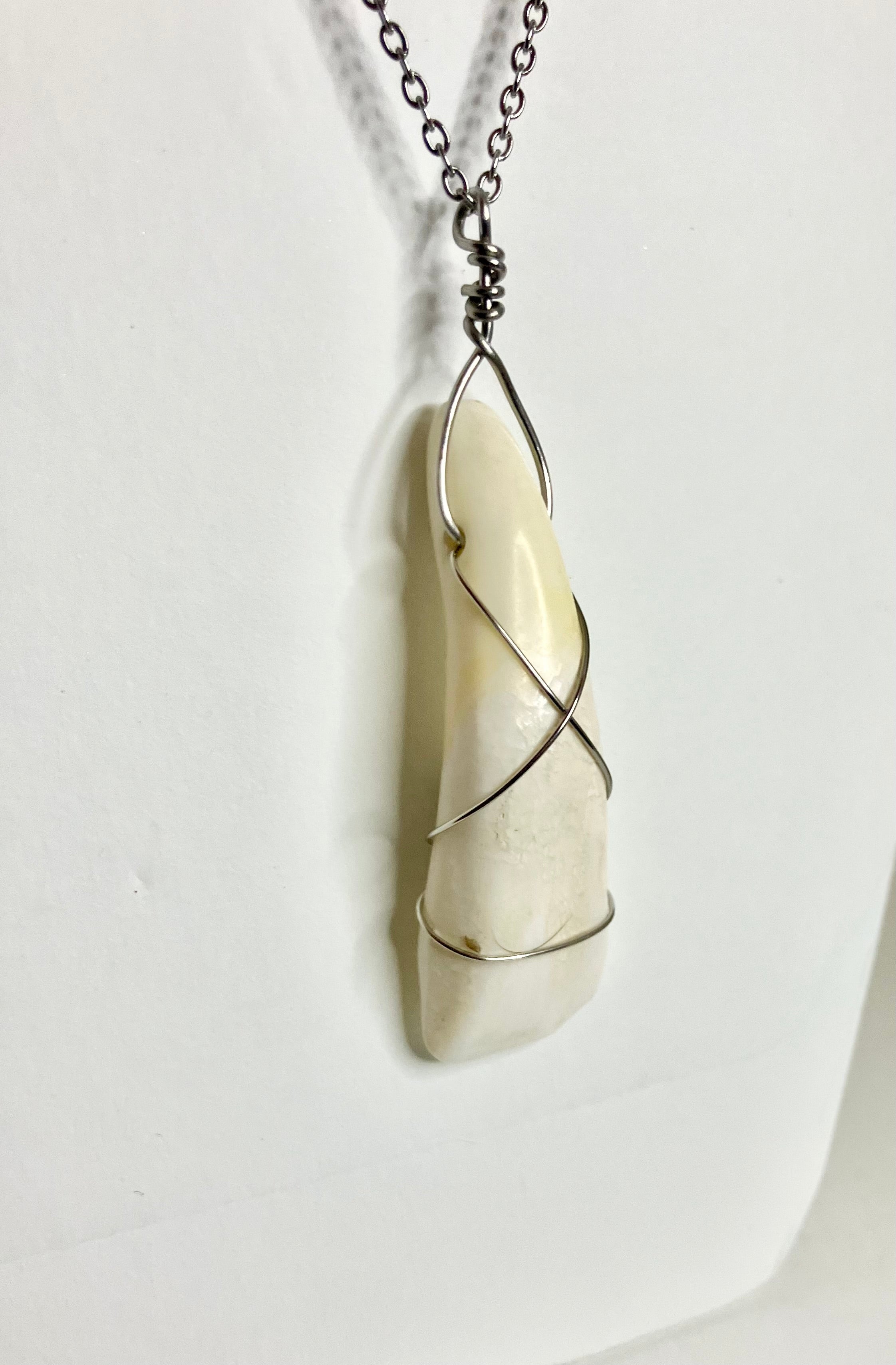 Buffalo tooth jewelry