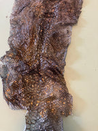 Single dyed snake shed pieces