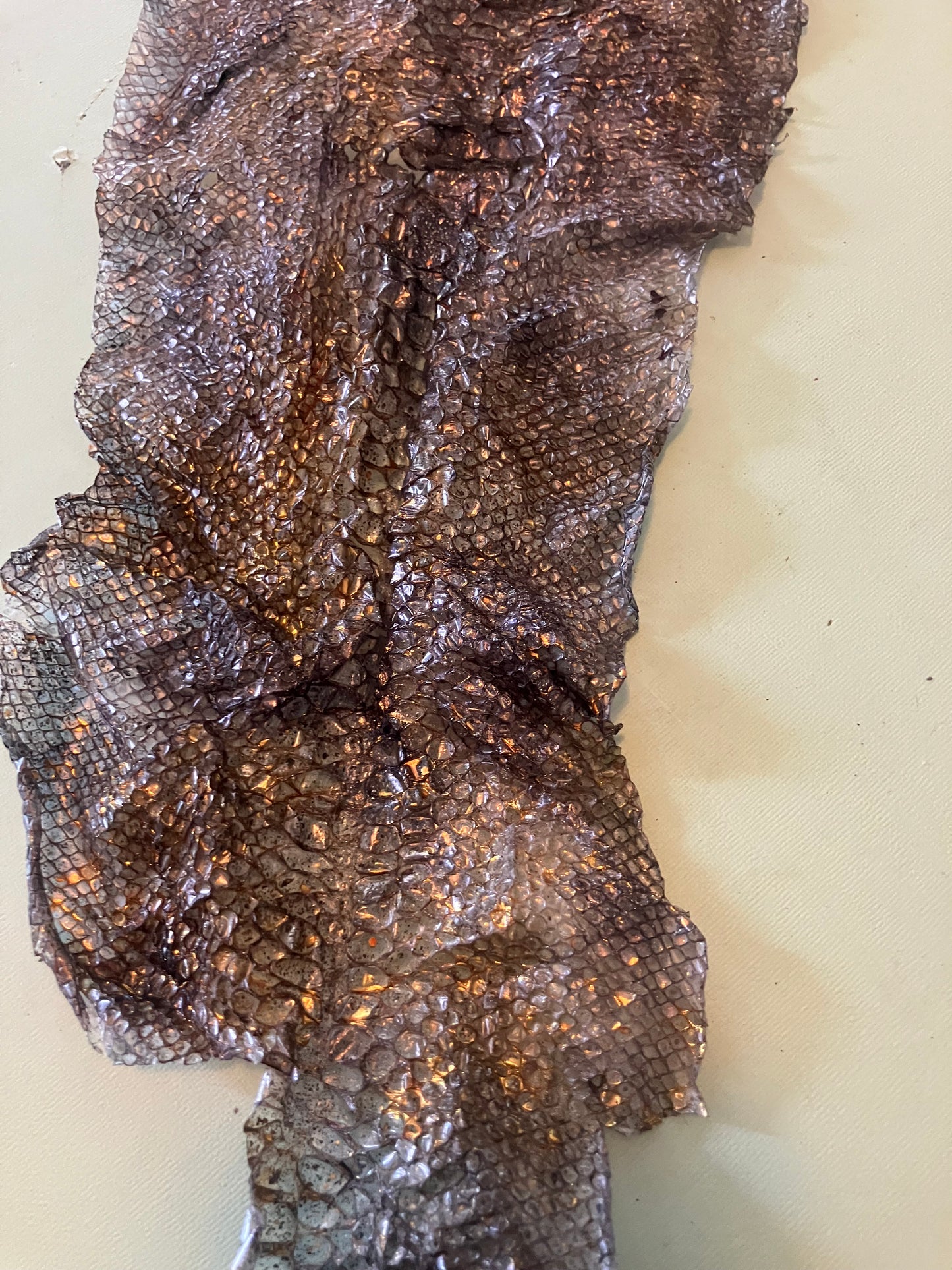 Dyed Snake Shed Pieces