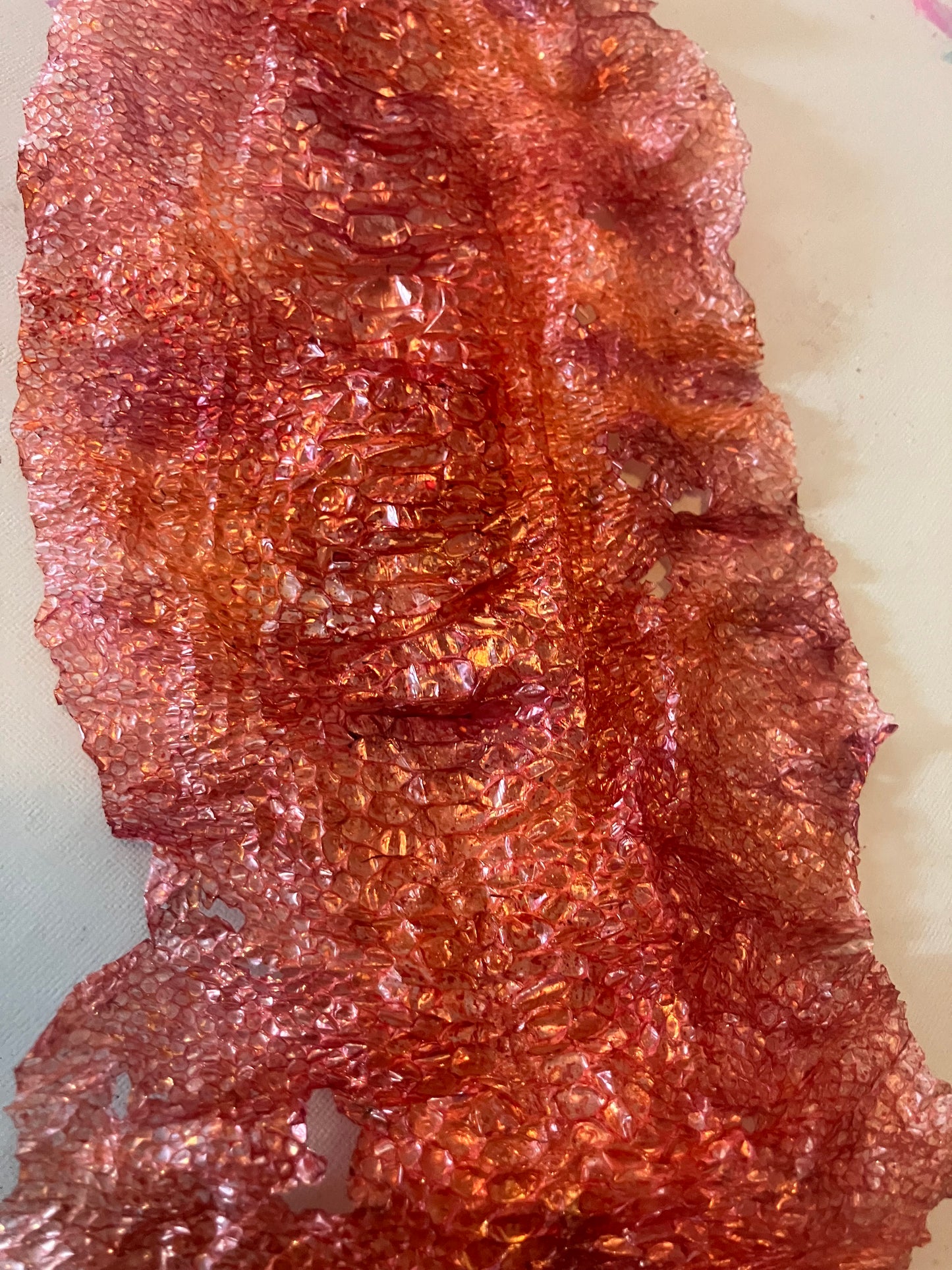 Dyed Snake Shed Pieces