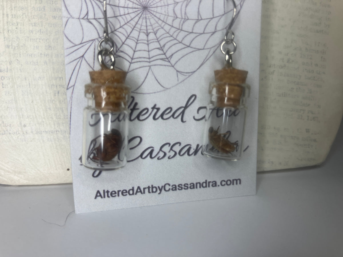Owl Pellet Bone Vial Earrings — Real Bone Jewelry
