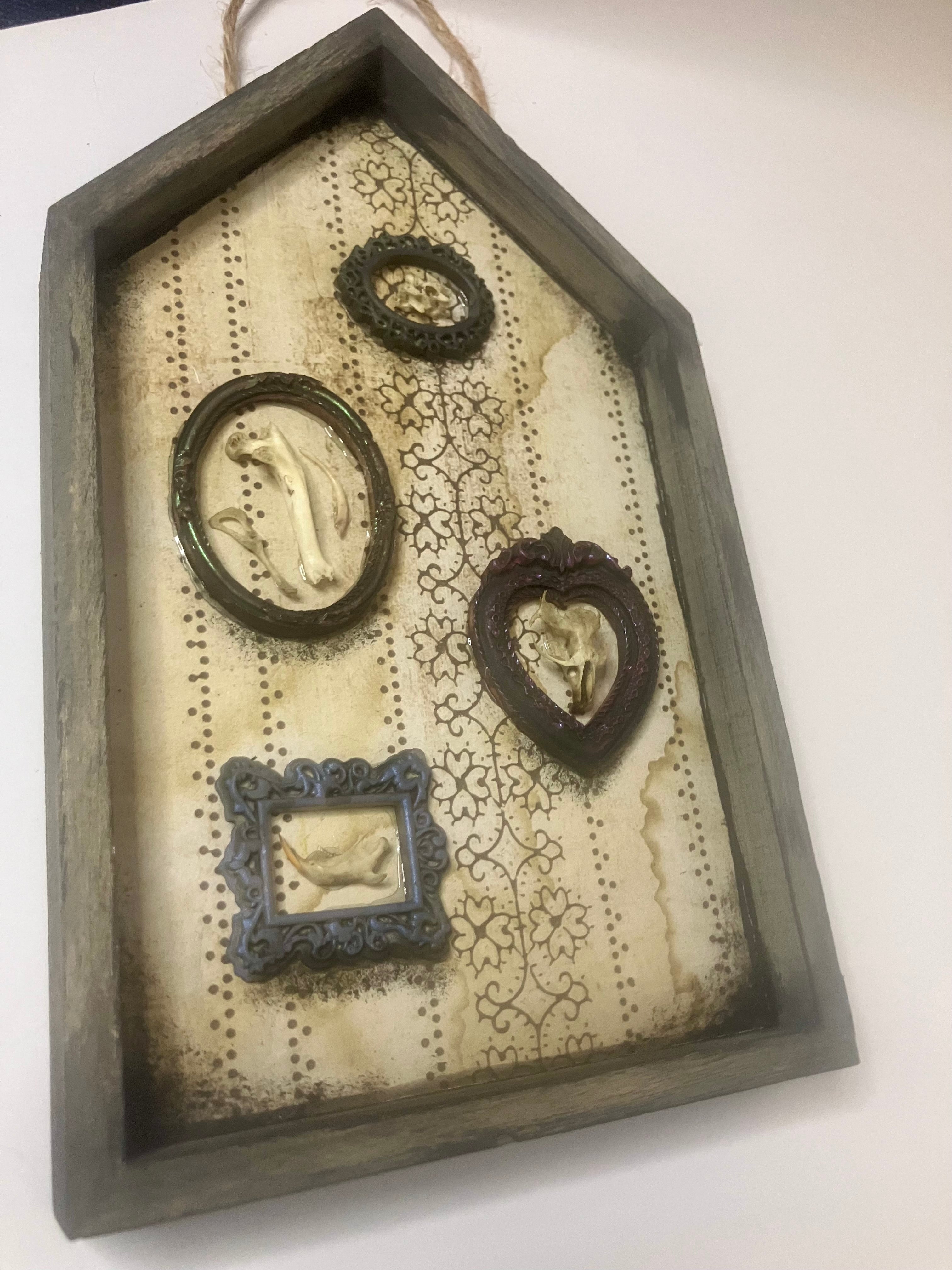 Shadow box houses with small framed bones