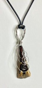 Buffalo tooth jewelry