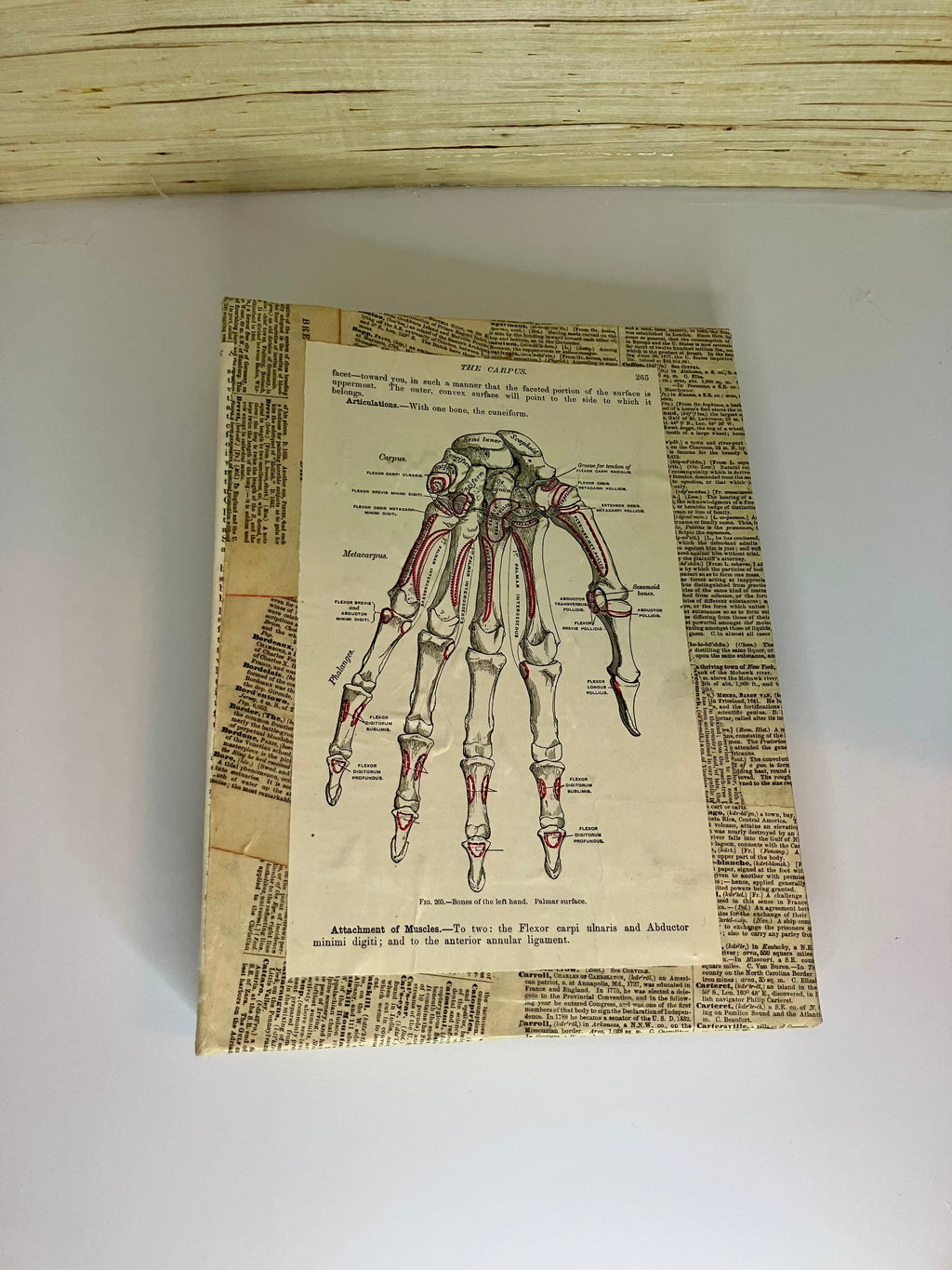 Vintage anatomy large junk journal