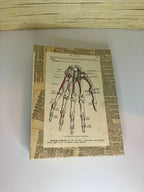 Vintage anatomy large junk journal
