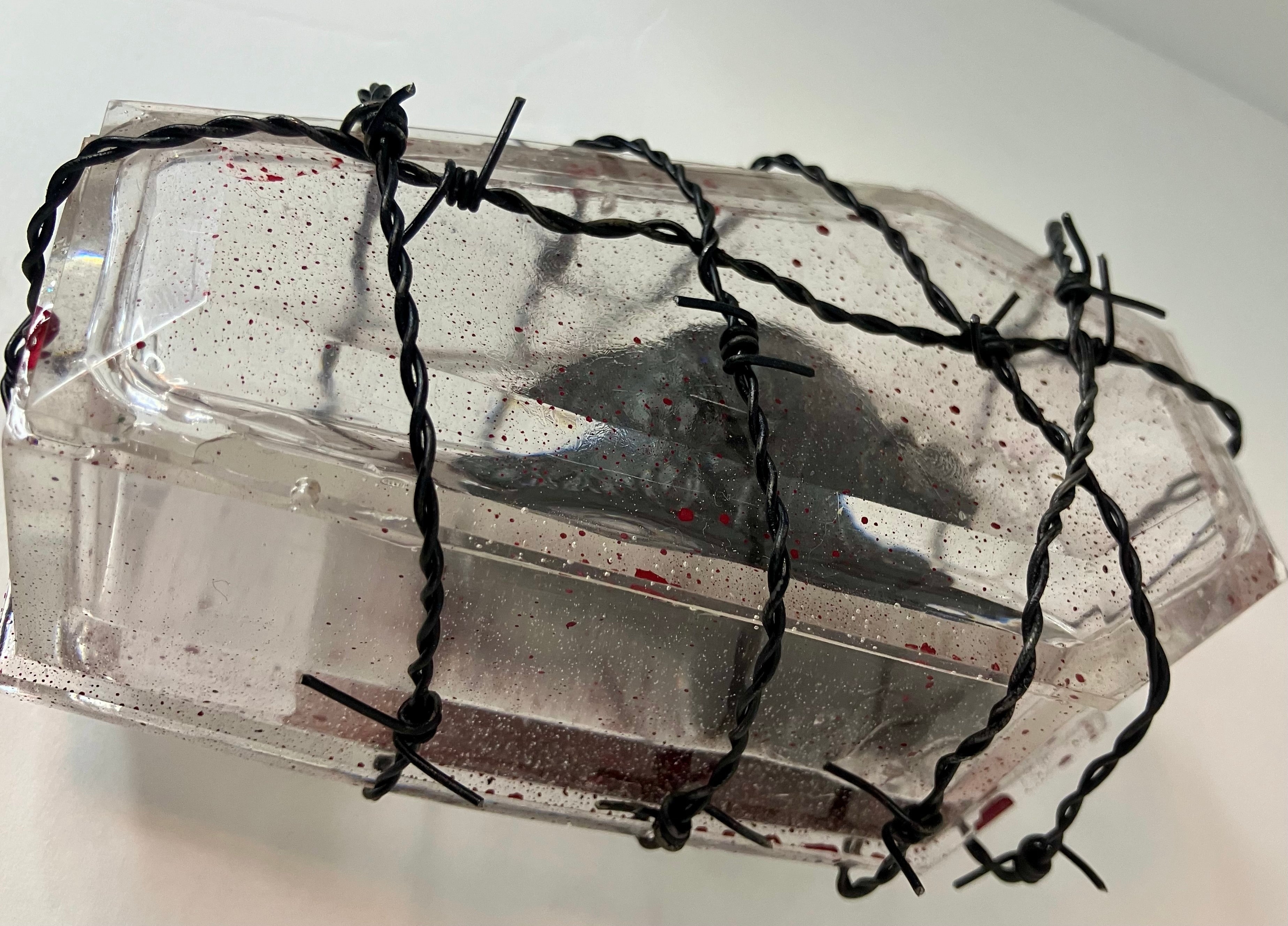 Encapsulated heart art piece