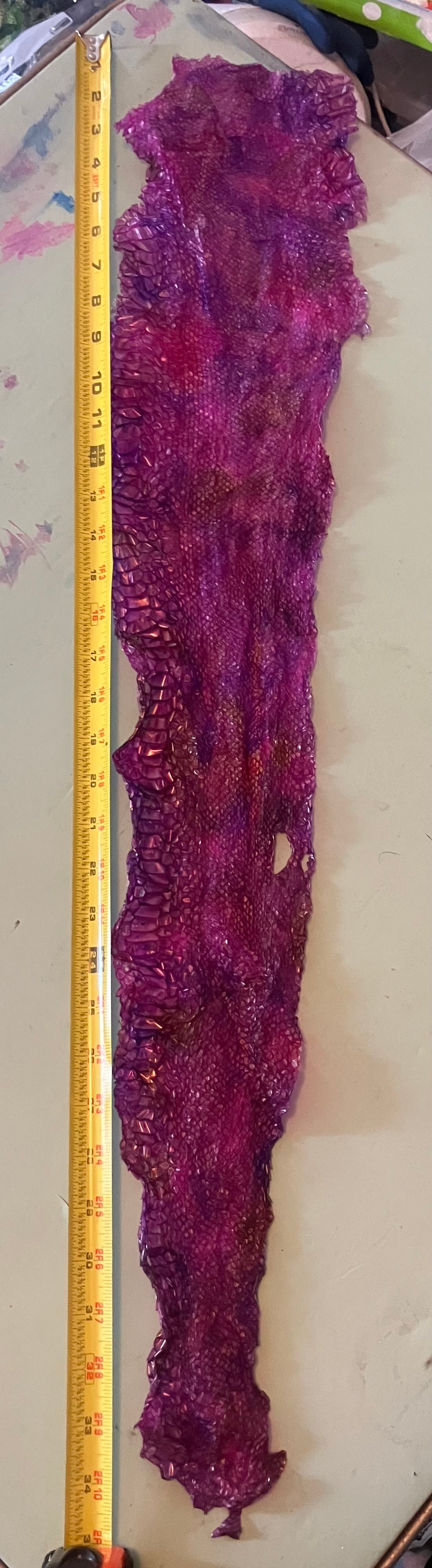 Dyed Snake Shed Pieces
