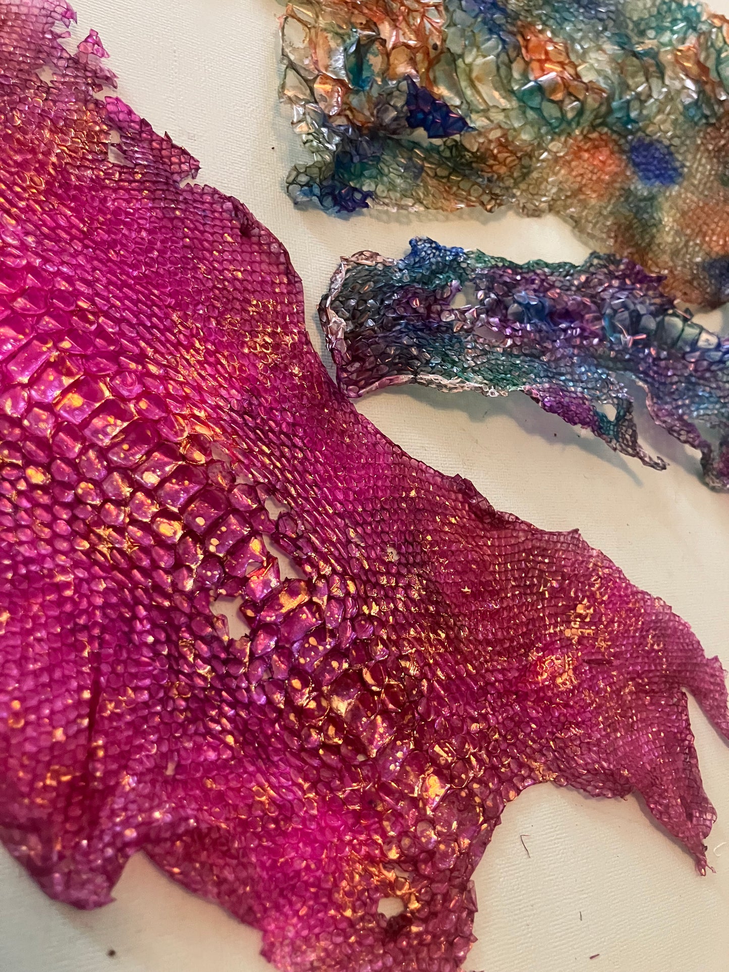 Dyed Snake Shed Pieces — Multi-Pack