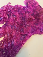Single dyed snake shed pieces