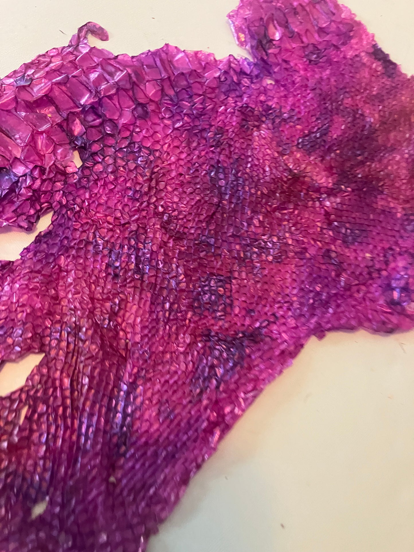 Dyed Snake Shed Pieces