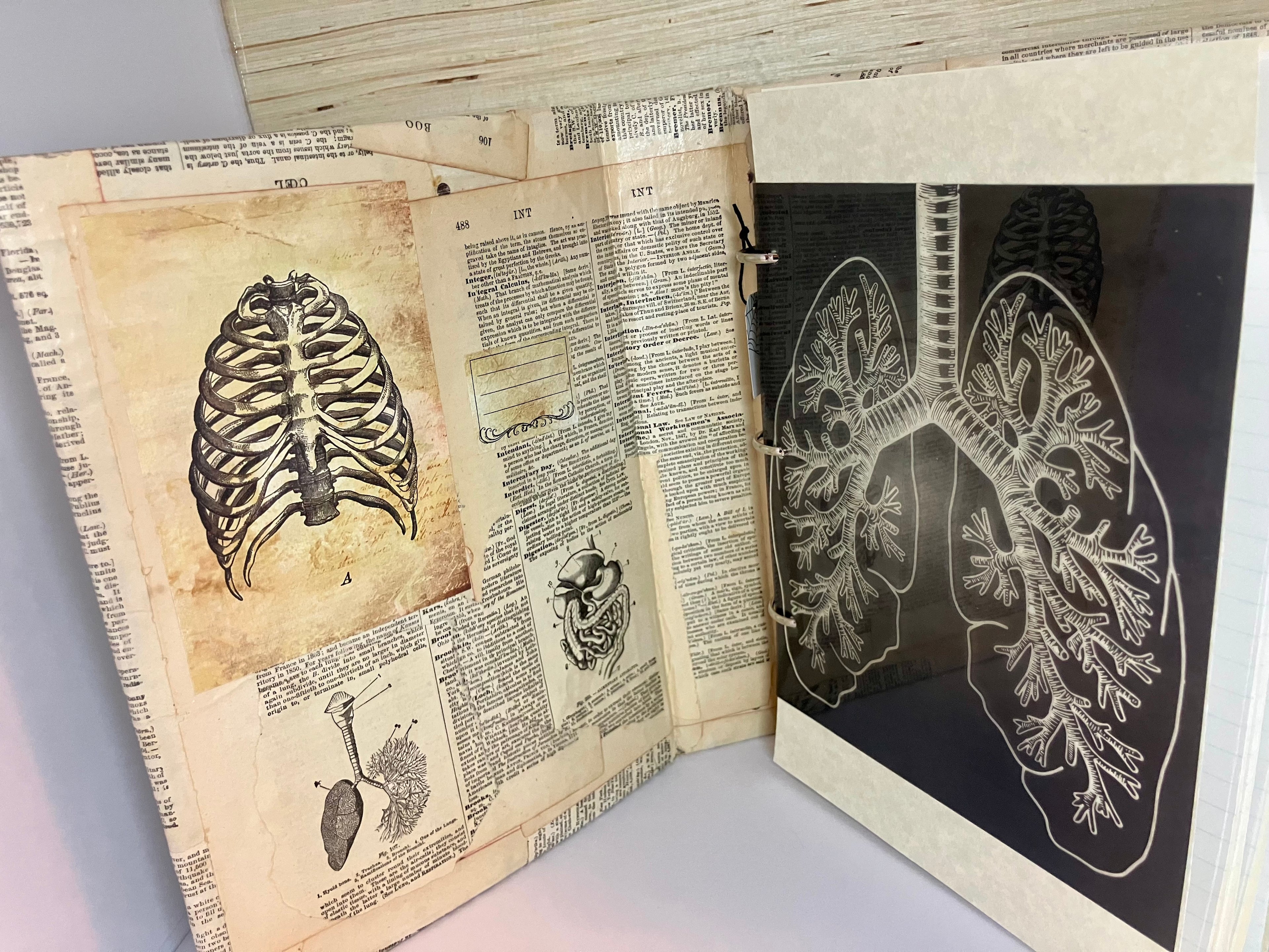 Vintage anatomy large junk journal