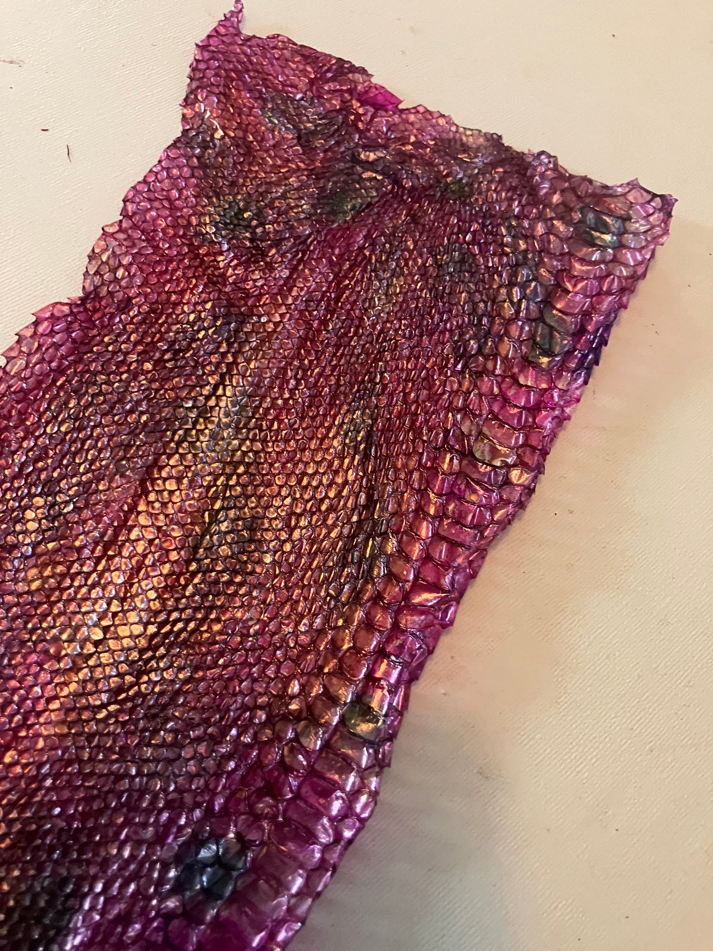 Dyed Snake Shed Pieces