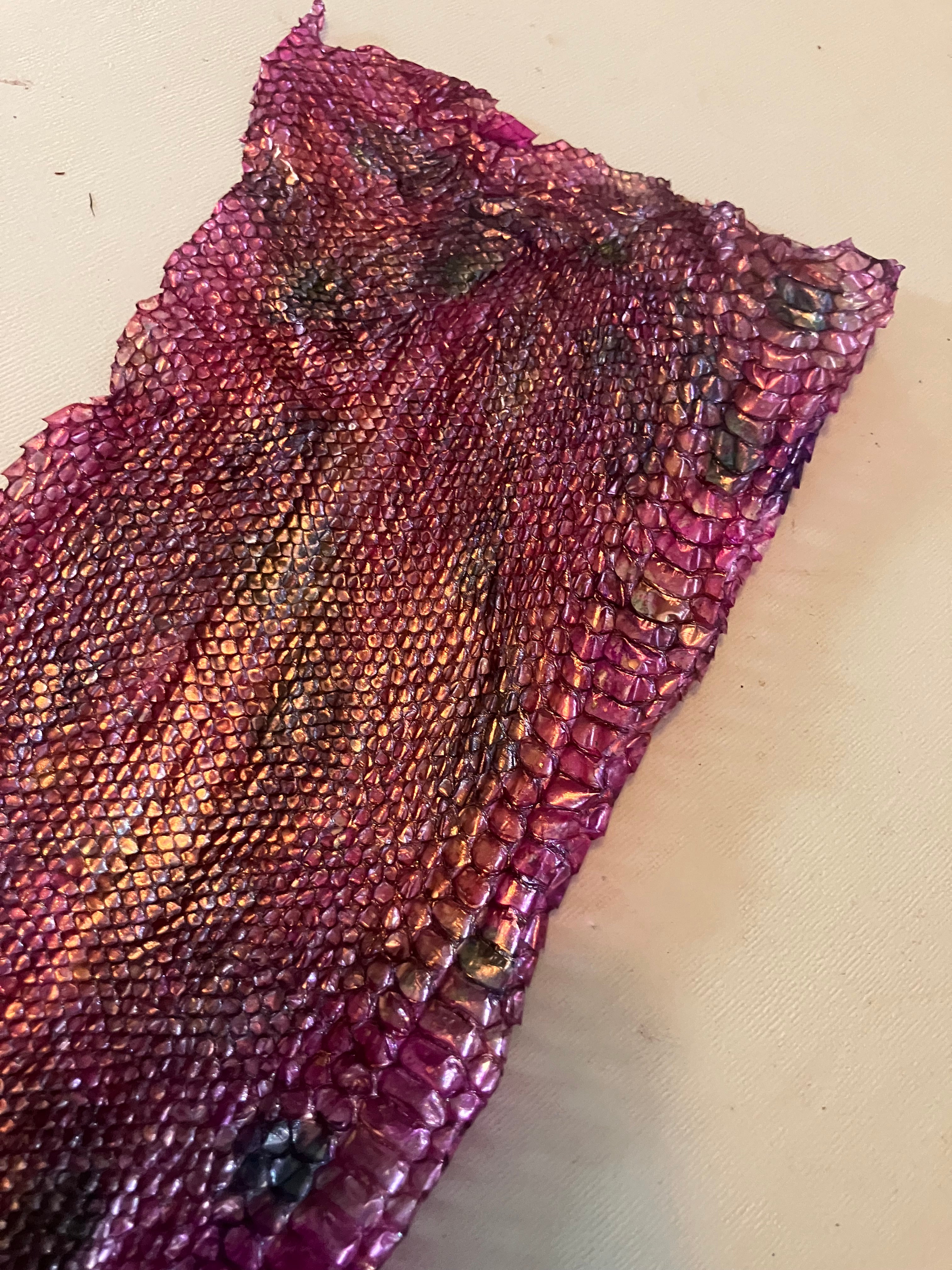 Single dyed snake shed pieces