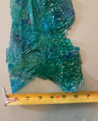 Single dyed snake shed pieces
