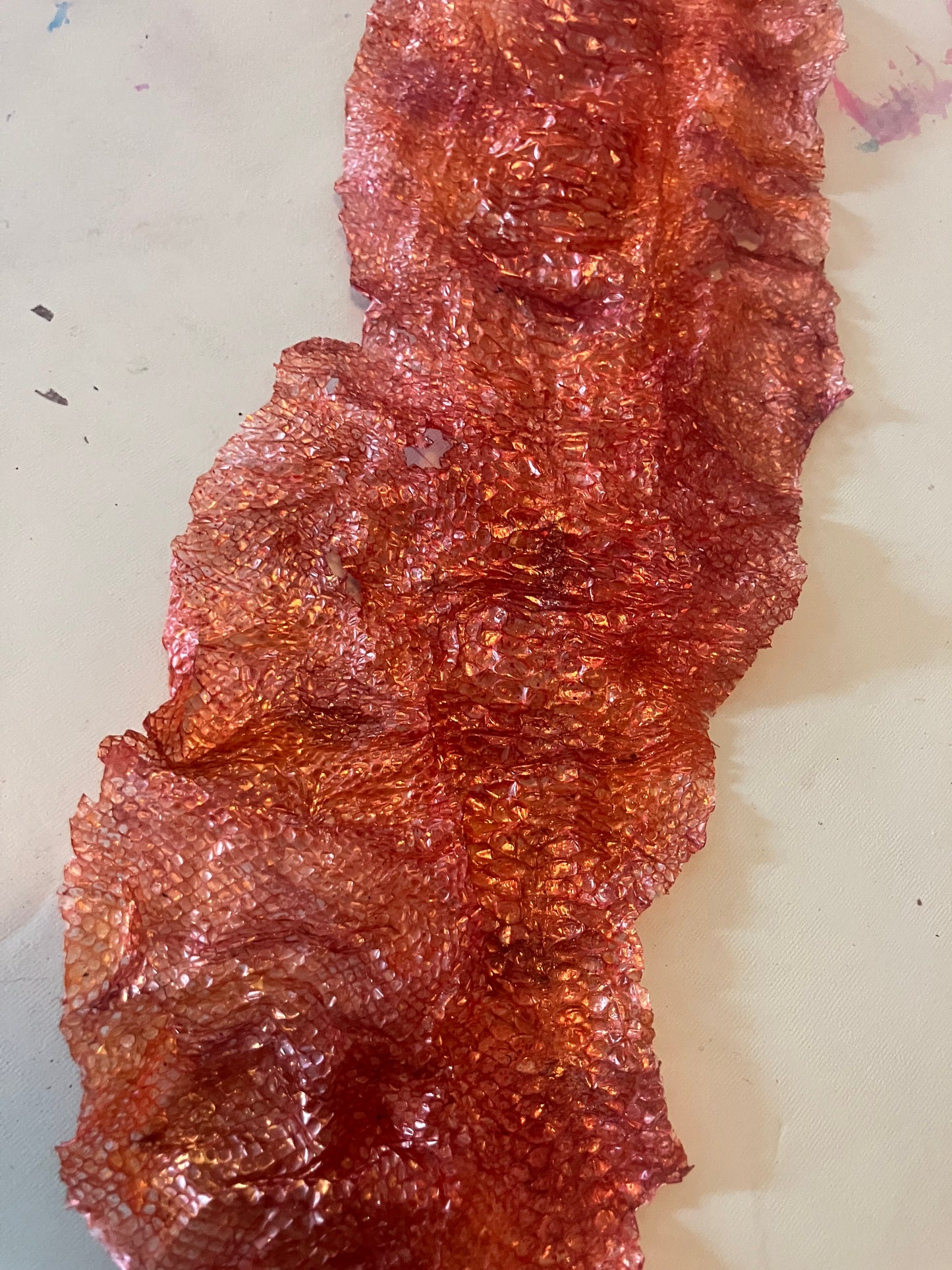 Dyed Snake Shed Pieces