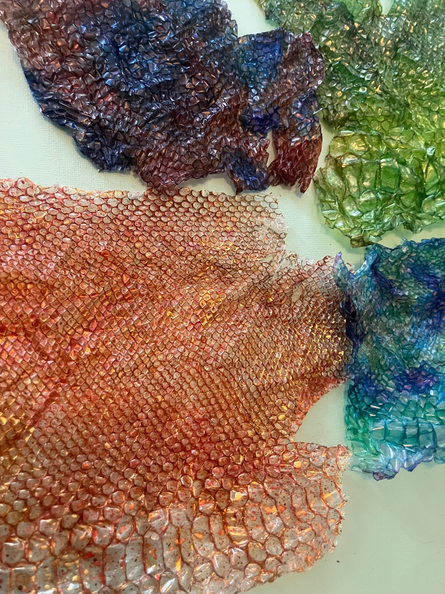 Dyed Snake Shed Pieces — Multi-Pack
