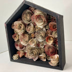 Blood splatter rose box
