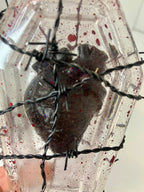 Encapsulated heart art piece