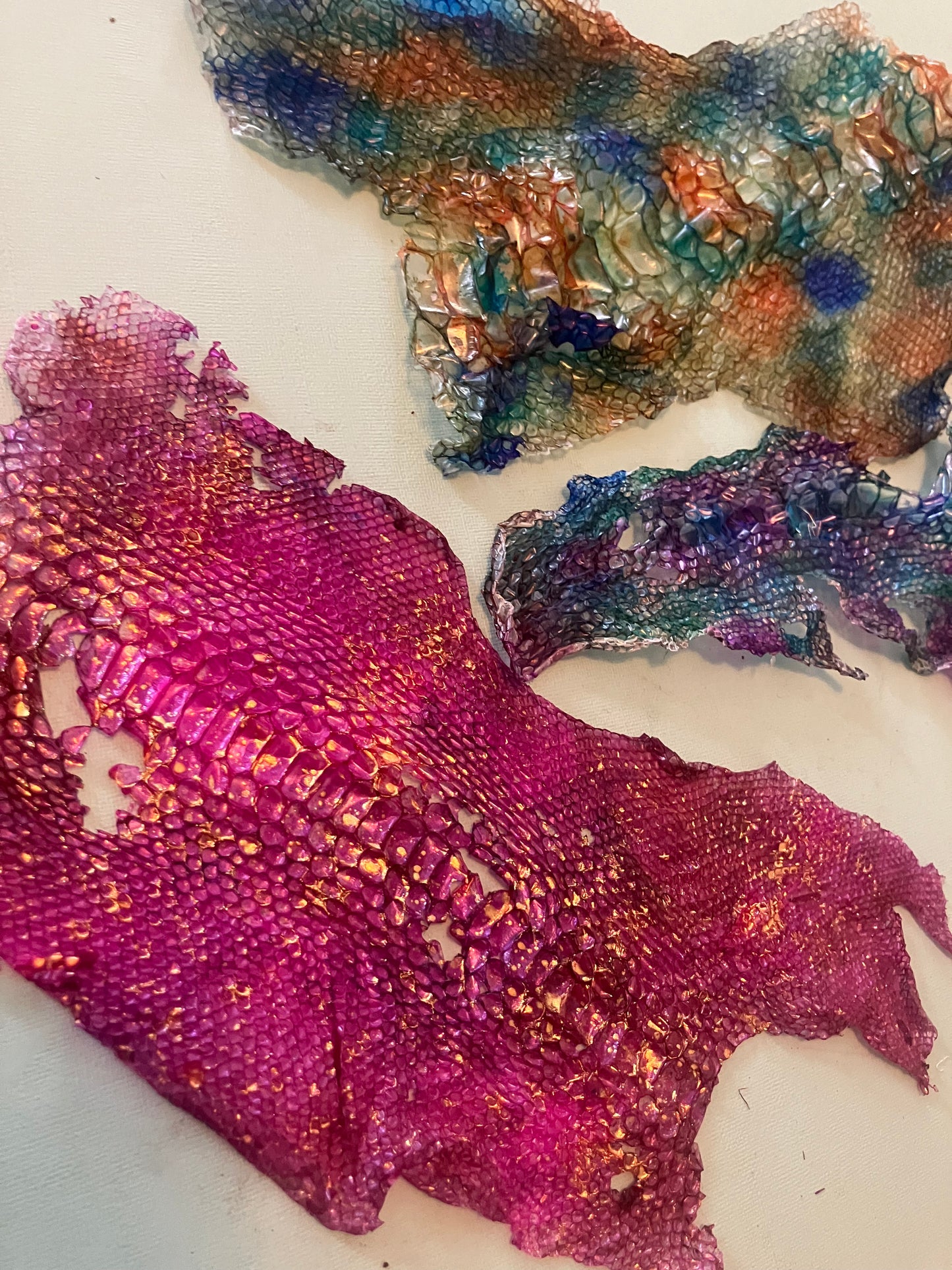 Dyed Snake Shed Pieces — Multi-Pack