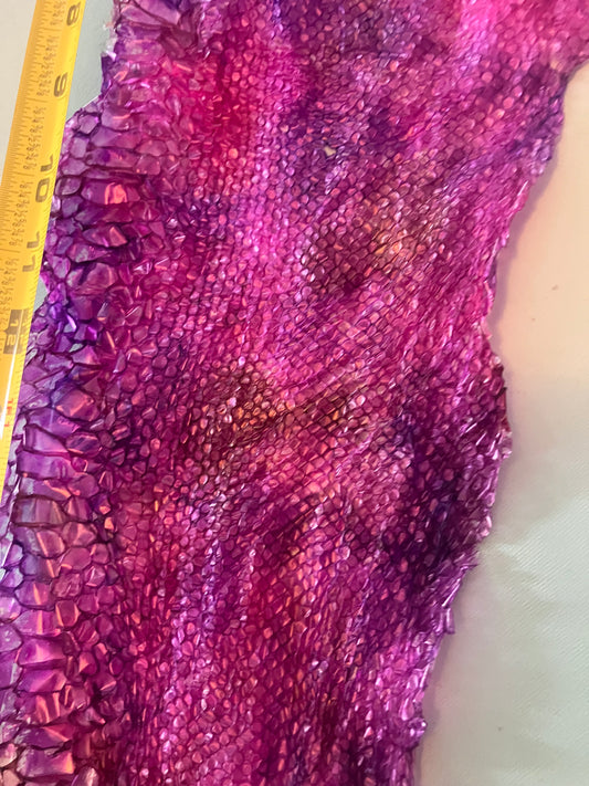 Dyed Snake Shed Pieces
