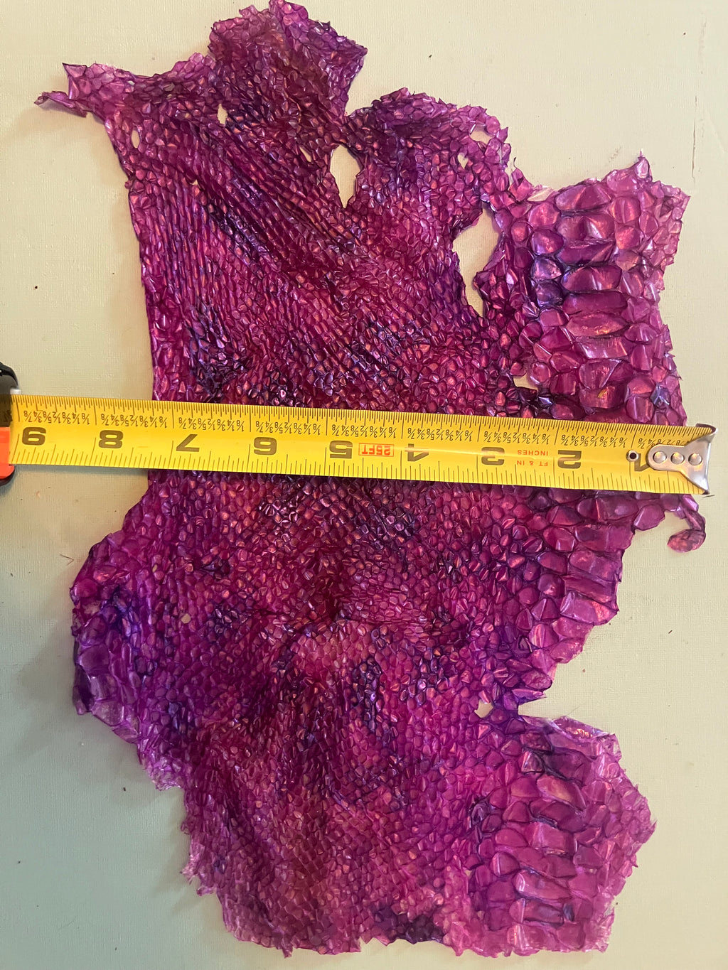 Single dyed snake shed pieces