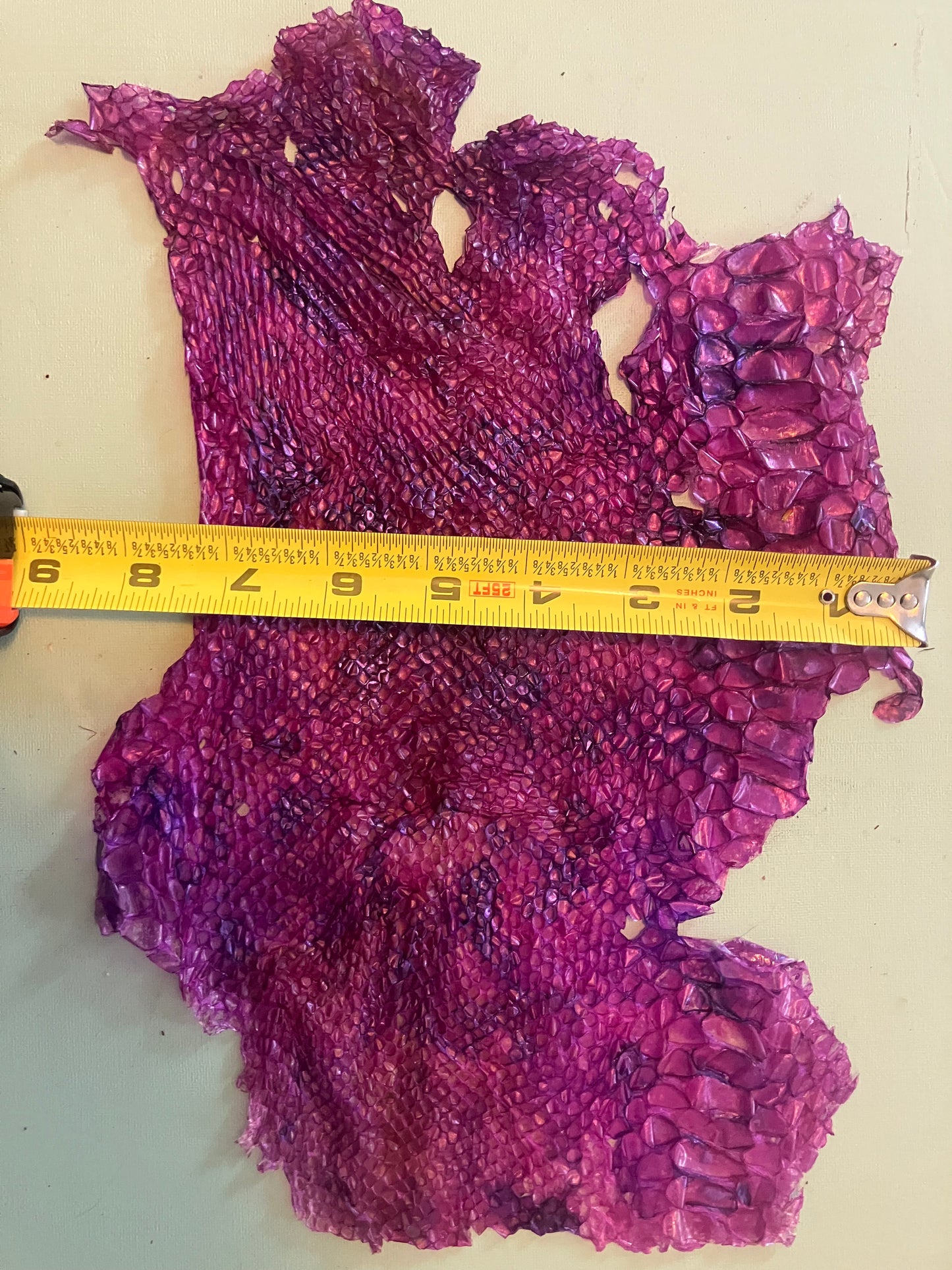 Dyed Snake Shed Pieces