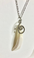 Buffalo tooth jewelry