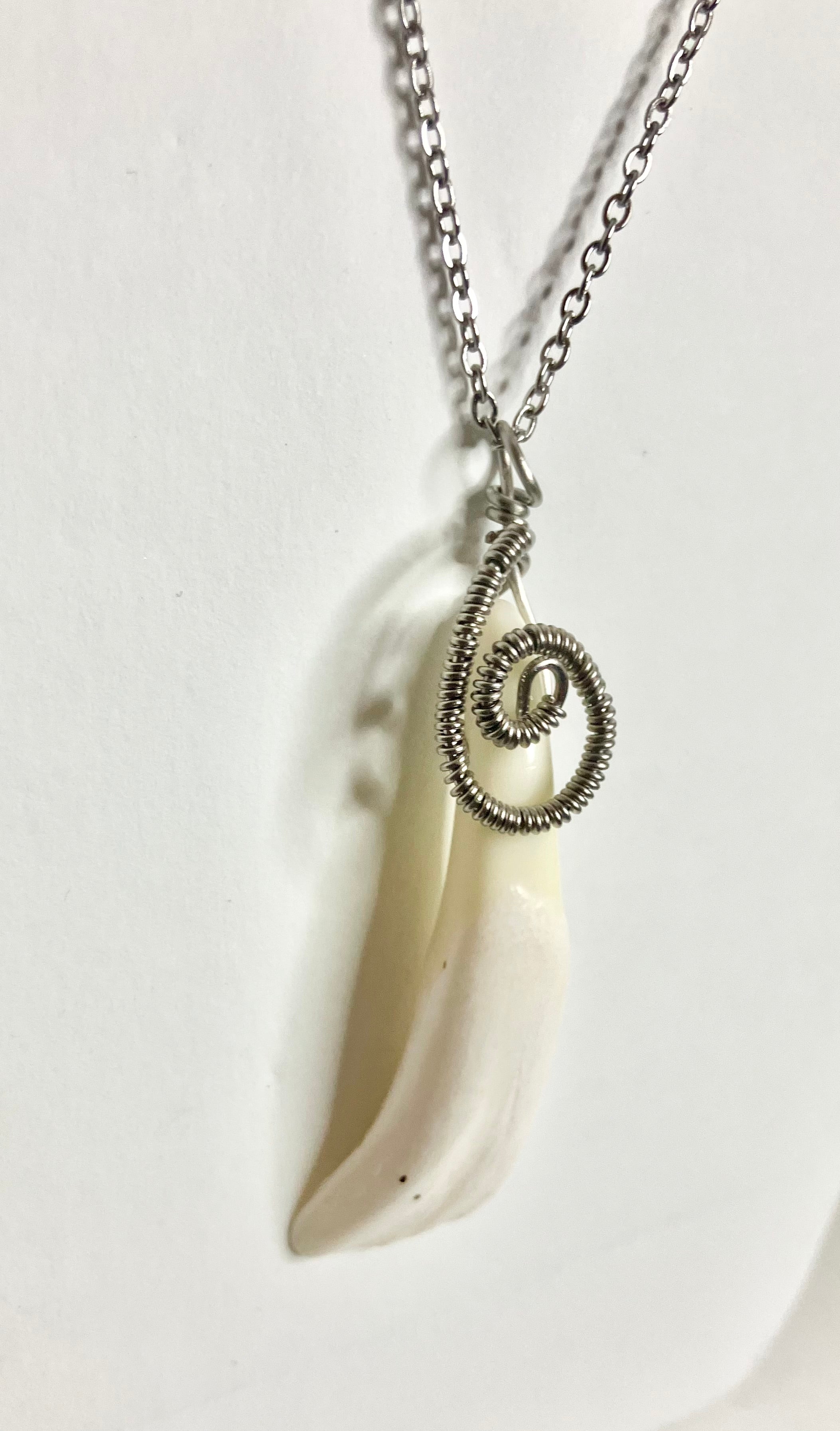 Buffalo tooth jewelry