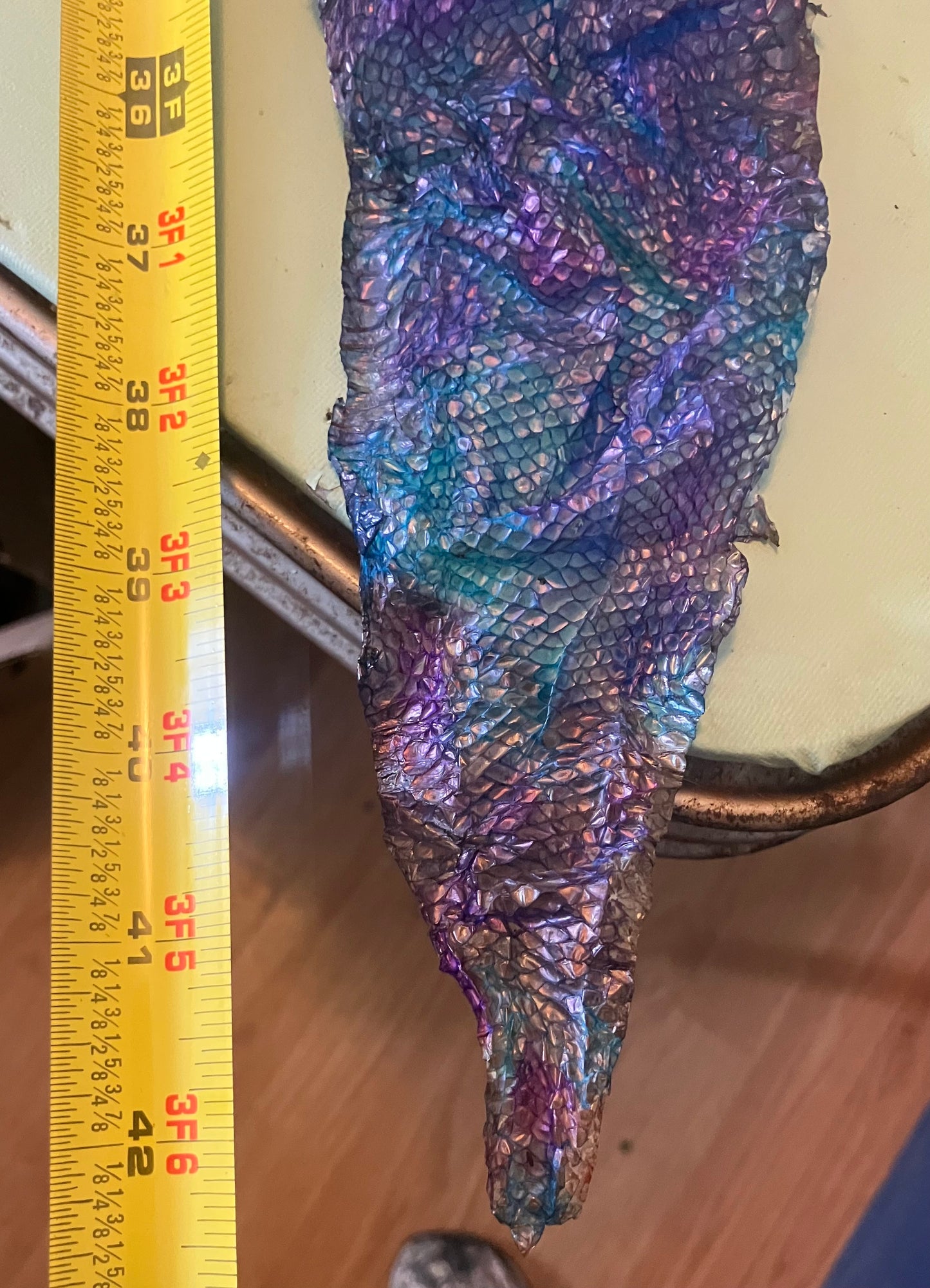 Dyed Snake Shed Pieces