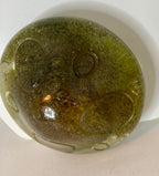 Mushroom trinket box