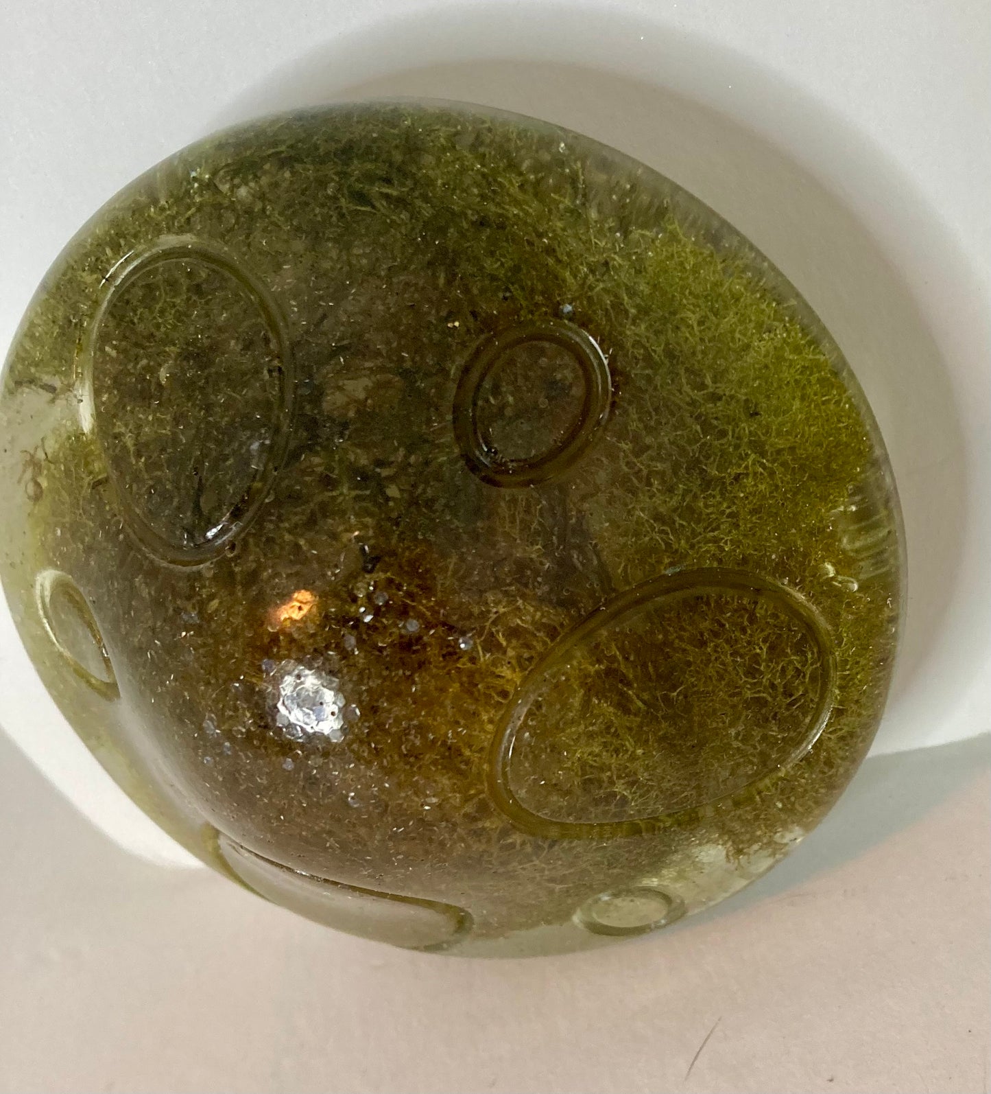 Resin Mushroom Trinket Box