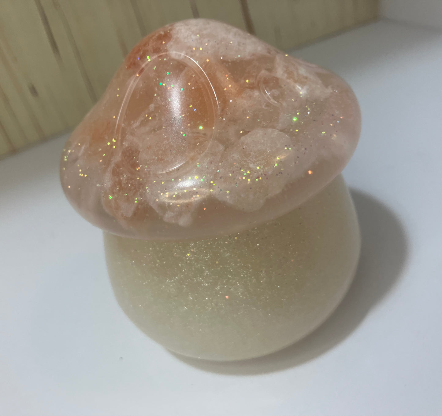 Resin Mushroom Trinket Box