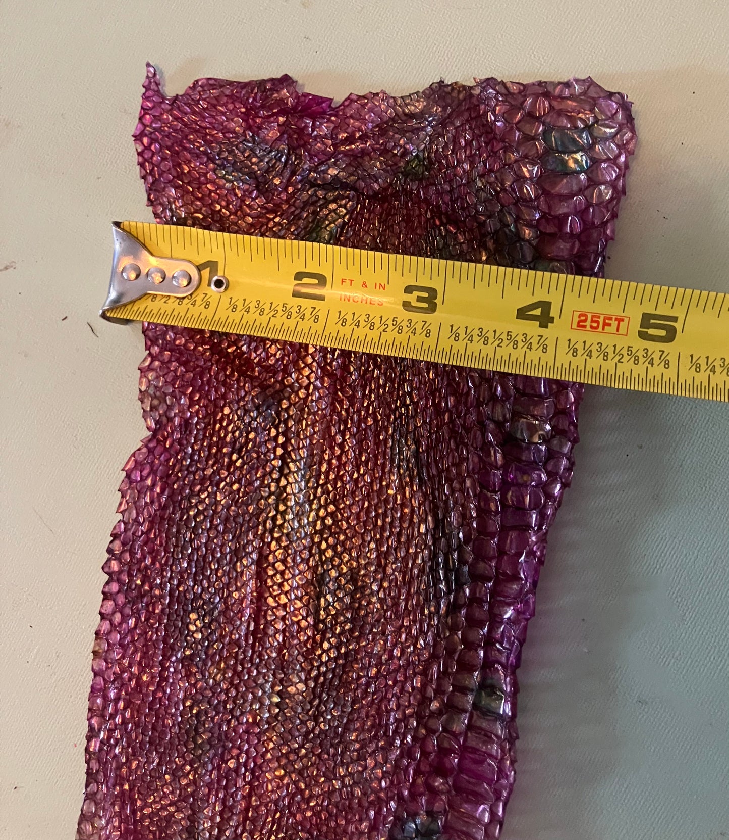 Dyed Snake Shed Pieces