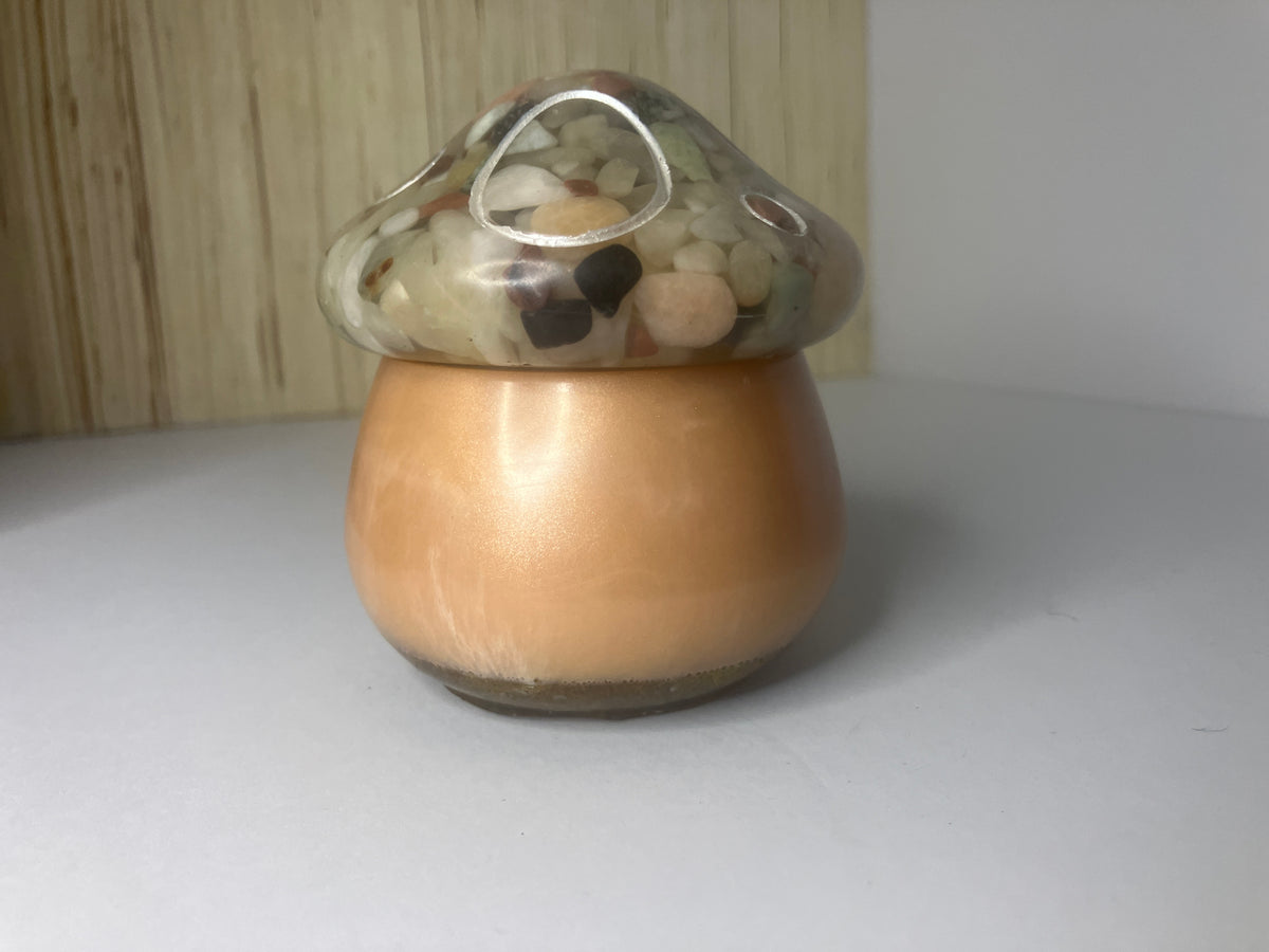 Resin Mushroom Trinket Box