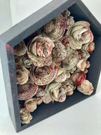 Blood splatter rose box