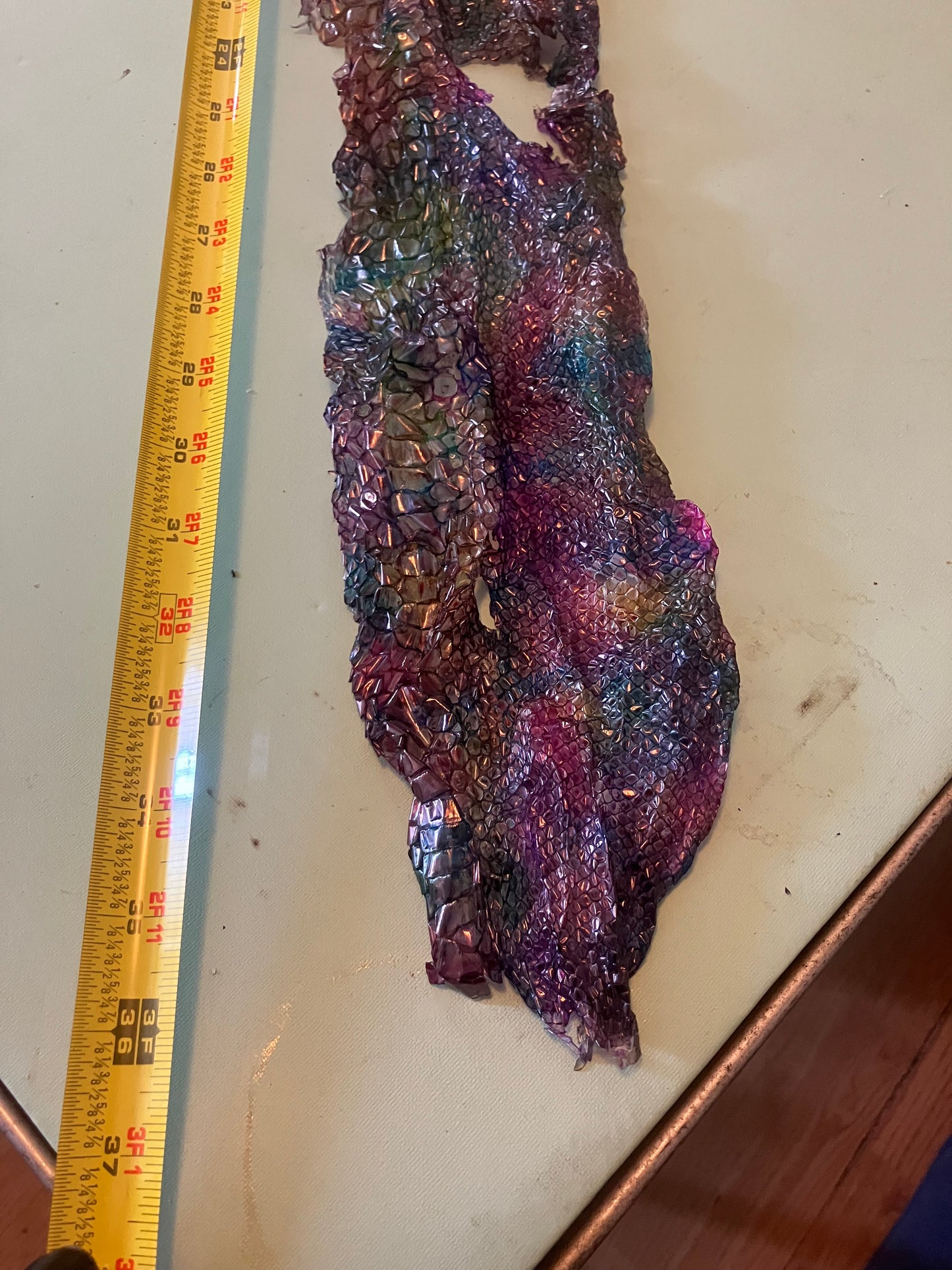 Dyed Snake Shed Pieces