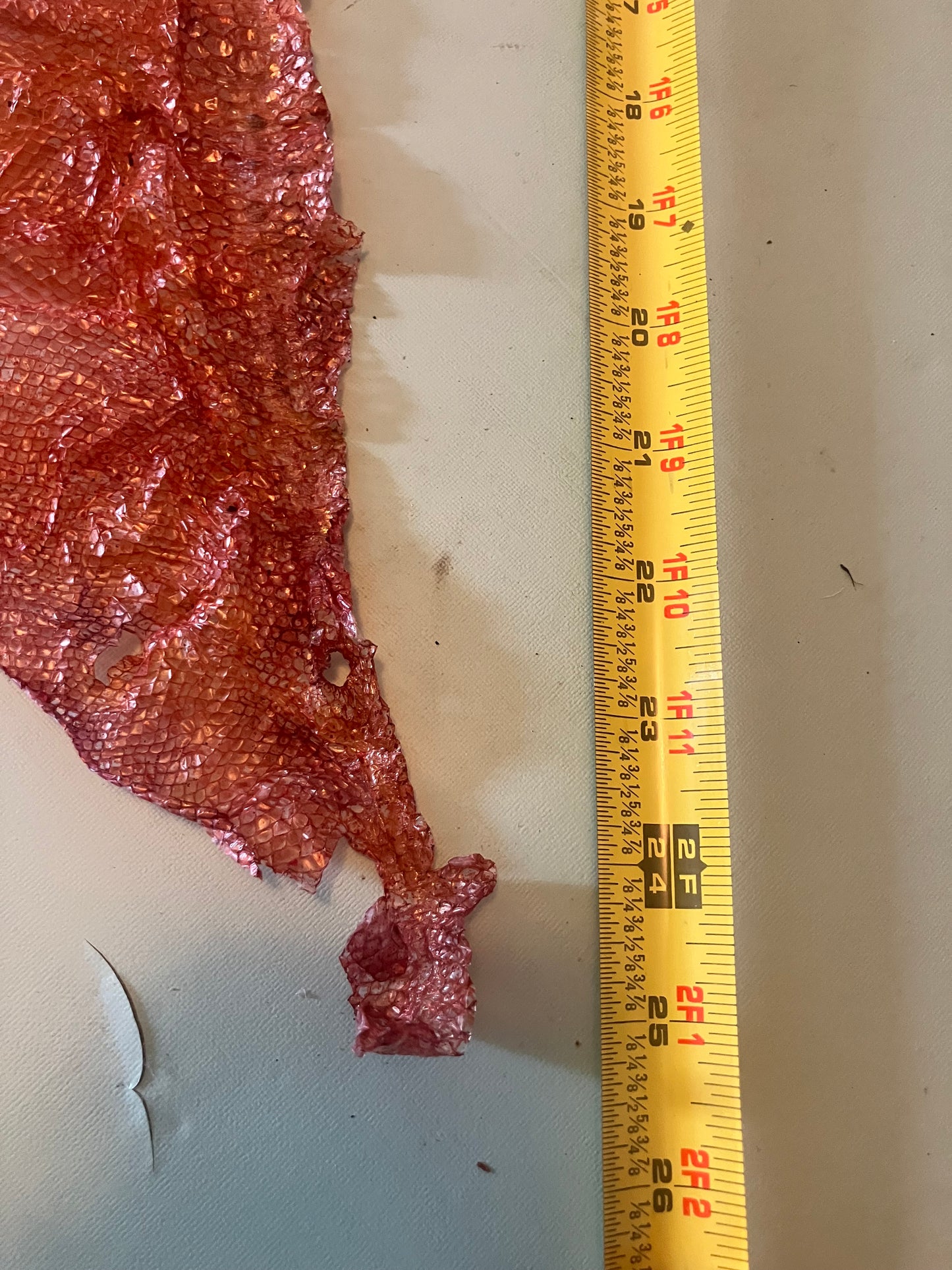 Dyed Snake Shed Pieces