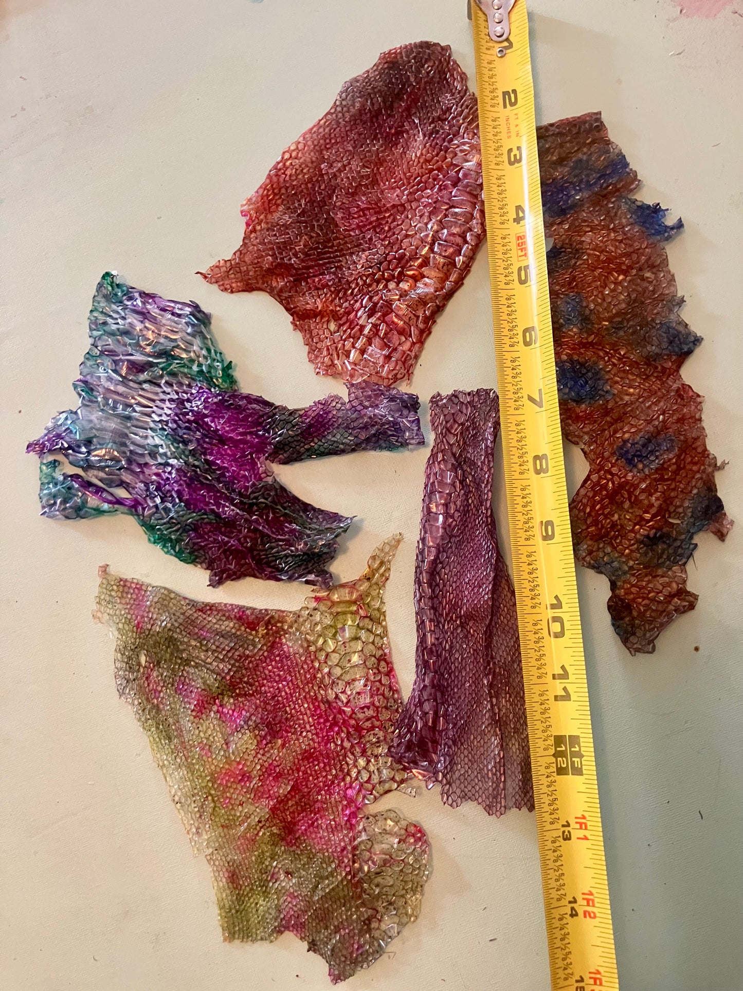 Dyed Snake Shed Pieces — Multi-Pack